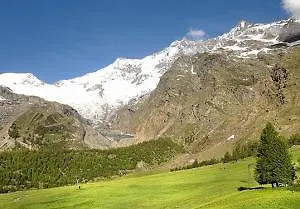 Hotel Saaserhof 4*